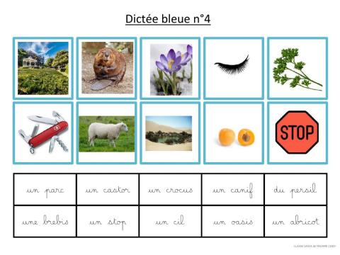 Dictée bleue 4