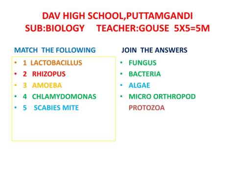 Micro organisms