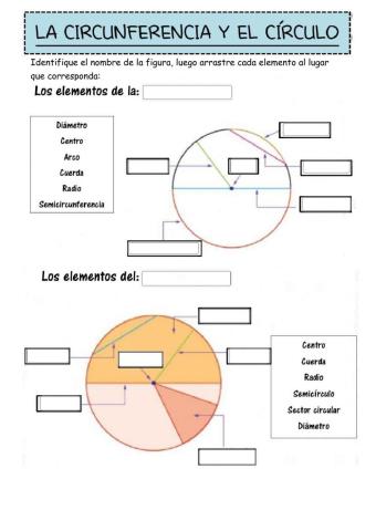 Círculo y Circunferencia