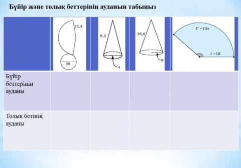 Толық бет ауданы2