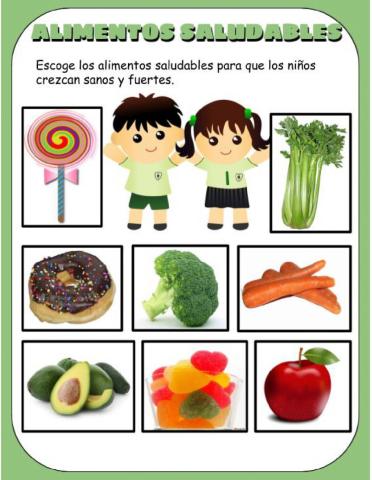 Alimentos