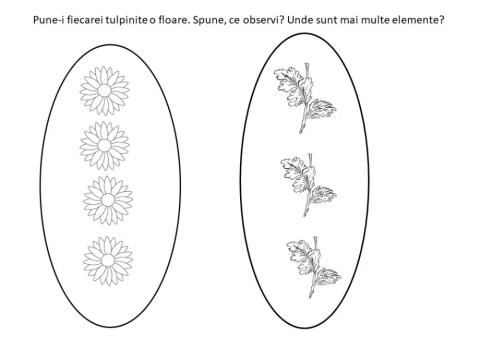 Asociaza elementele!