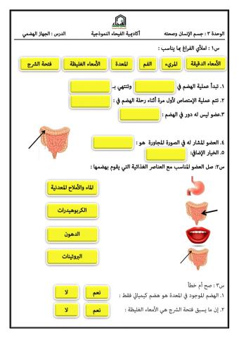 الجهاز الهضمي