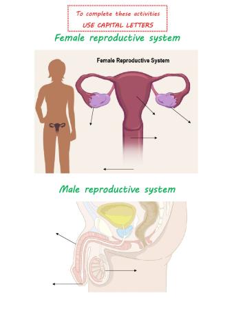 Reproductive systems