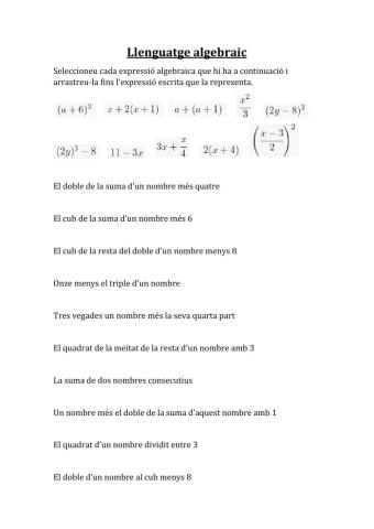 Llenguatge algebraic