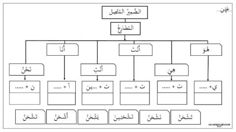 فعل المضارع