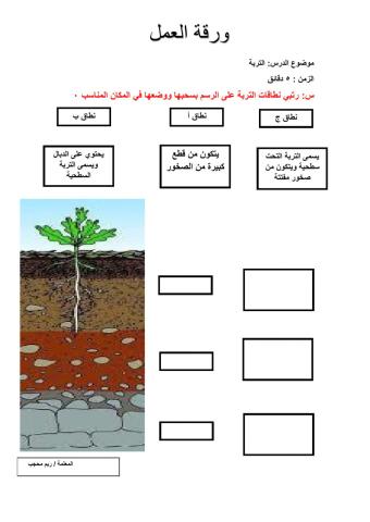 التربة