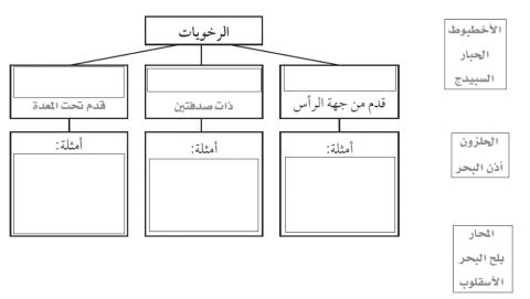 تنوع الرخويات