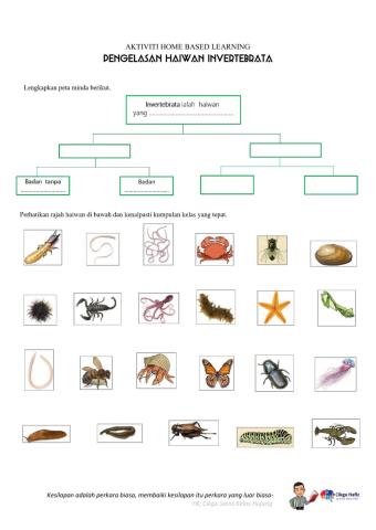 Pengelasan Invertebrata