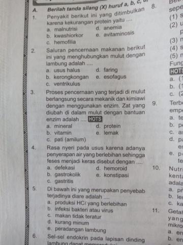 Ulangan harian