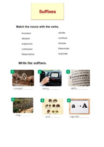 Suffixes