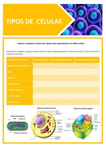 Tipos de células