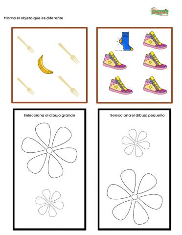 Grade- Pequeño- Igual- Diferente