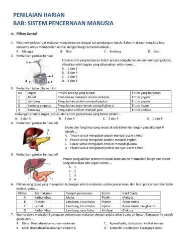 Penilaian Harian -Sistem Pencernaan Manusia-