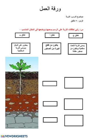 نطاقات التربة