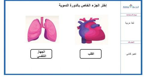 عربي