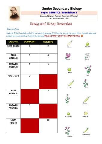 Senior Secondary Biology: GENETICS- Mendelism-1