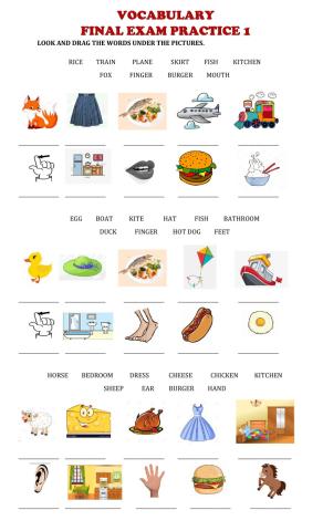 Vocabulary-Final exam practice 1