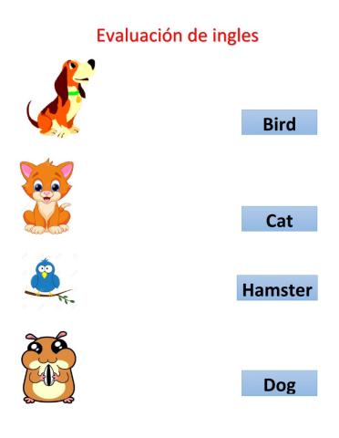 Evaluacion de ingles