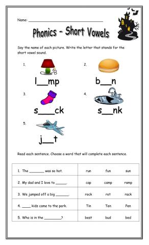 Phonics - Vowels Review