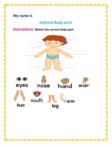 External Body Parts interactive worksheet | Live Worksheets