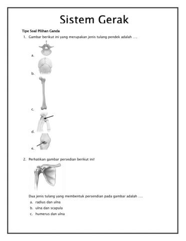 Latihan Soal Sistem Gerak