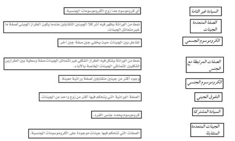 الصفات المرتبطة بالجنس