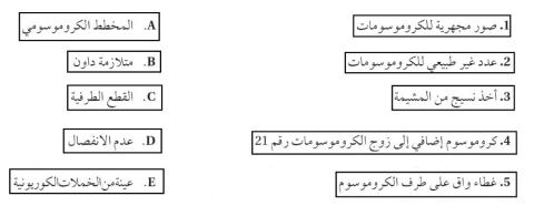 المخطط الكروموسومي