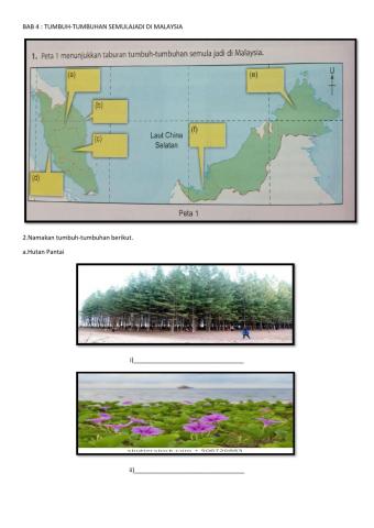 Tumbuh-tumbuhan Semula Jadi di Malaysia