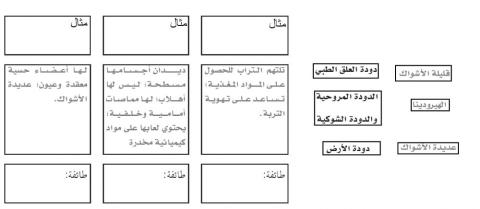 تصنيف الديدان الحلقية