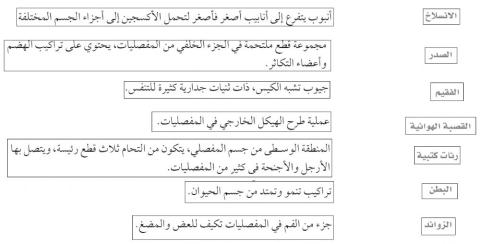 خصائص المفصليات