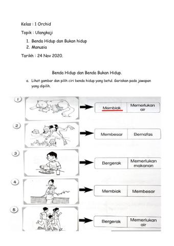 Ulangkaji  Sains Tahun 1