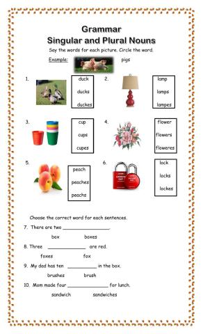 Singular and Plural Nouns