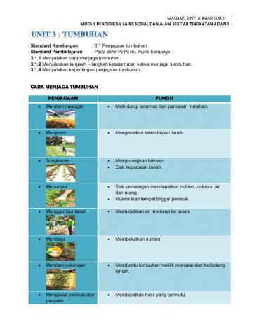 Unit 3: Tumbuhan