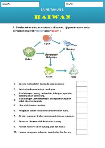 Rantai Makanan