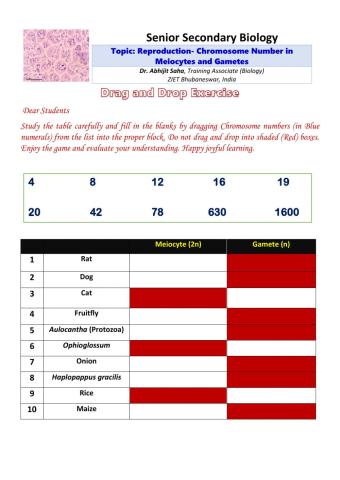 Senior Secondary Biology:Reproduction in Organisms- Chromosome Number