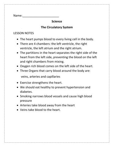 The Circulatory System