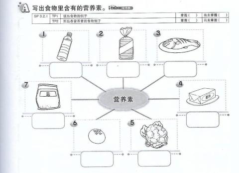 营养素