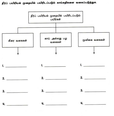 நீர்ப் பயிரியல் வளர்ப்பு முறை