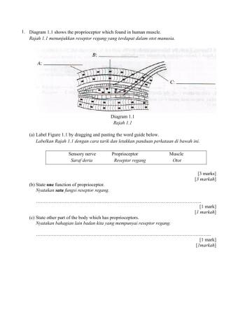 Soalan Bahagian B kertas 2 Sains SPM