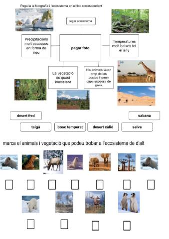 Ecosistemas 1