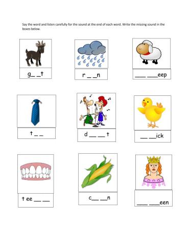 Phonics - Digraphs