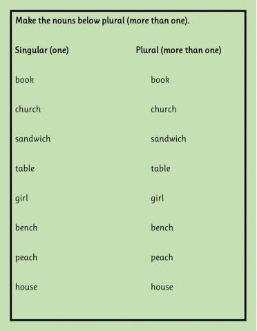 Plurals practice