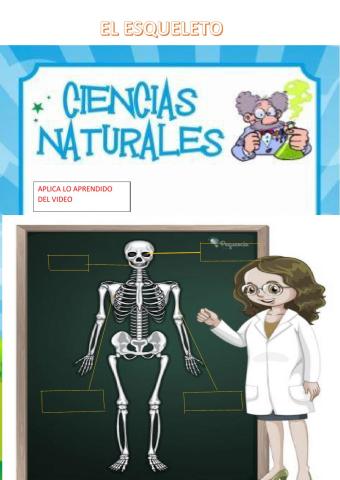 Ciencias NATURALES