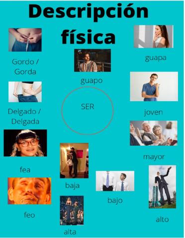 Descripcion física