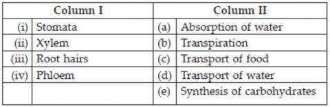 Match the following