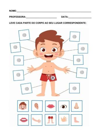 Partes do corpo