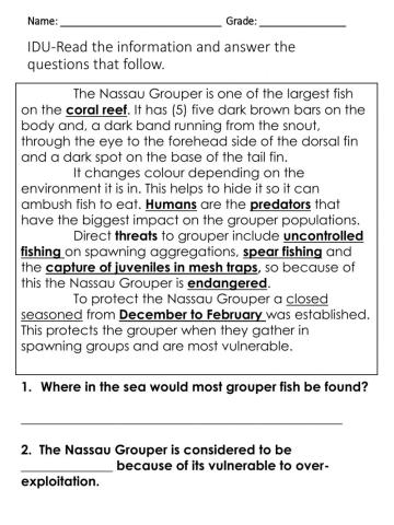 The Nassau Grouper