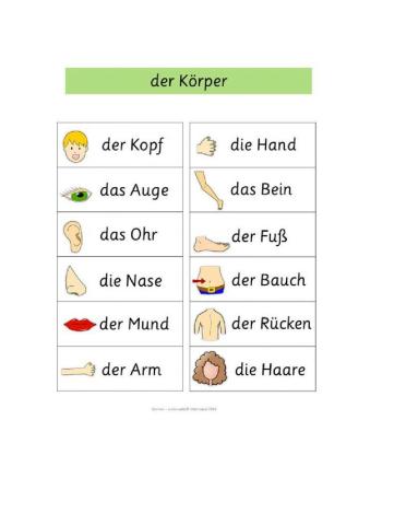 Der Körper