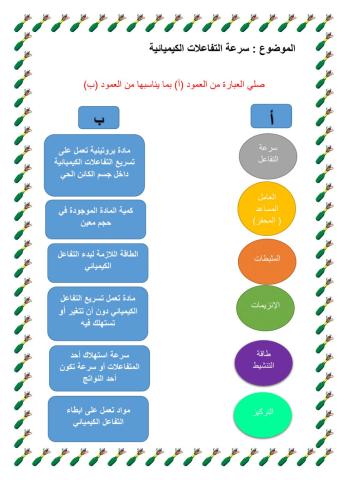 سرعة التفاعلات